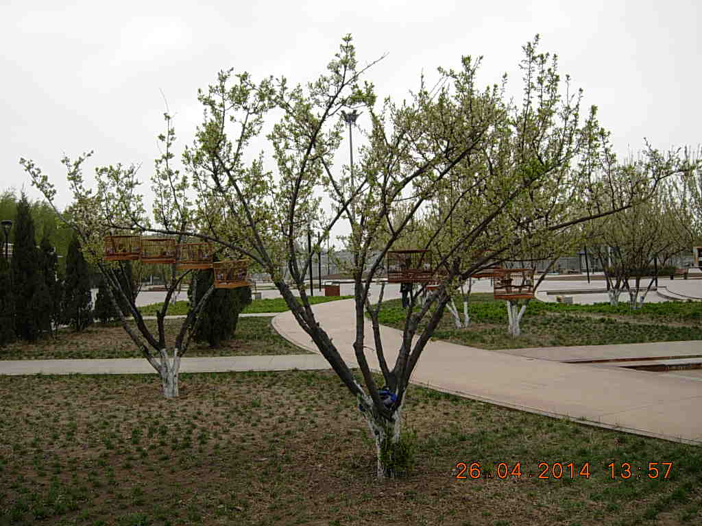 DSCN3793.JPG