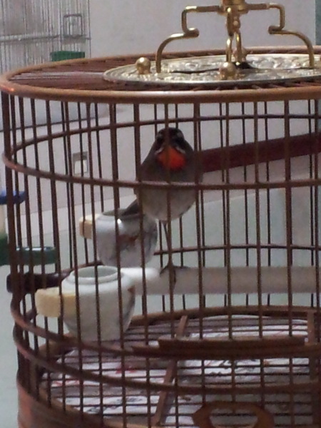 20140405_214951_调整大小.jpg