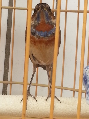 20140328_152753.jpg