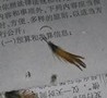 QQ图片20140403094144.jpg