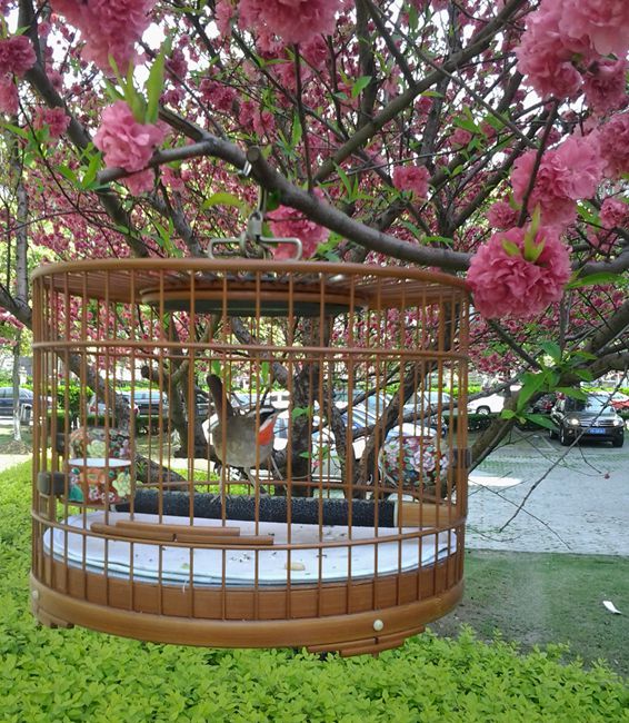 2014-04-06 11.28.25_副本.jpg