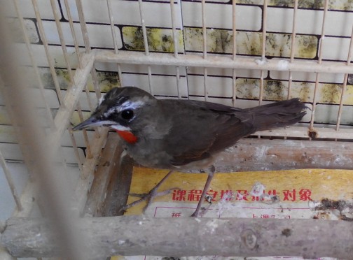 QQ图片20140417145200.jpg