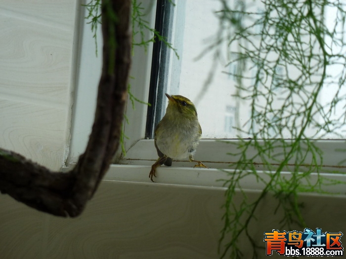 P1060090_调整大小.jpg