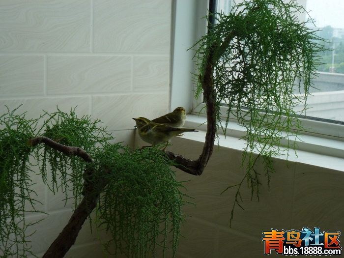 P1050865_调整大小.jpg