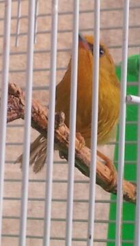 20140414_110233-1.jpg