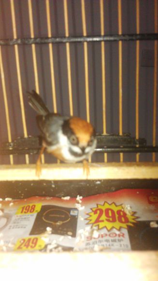 IMAG0772.jpg
