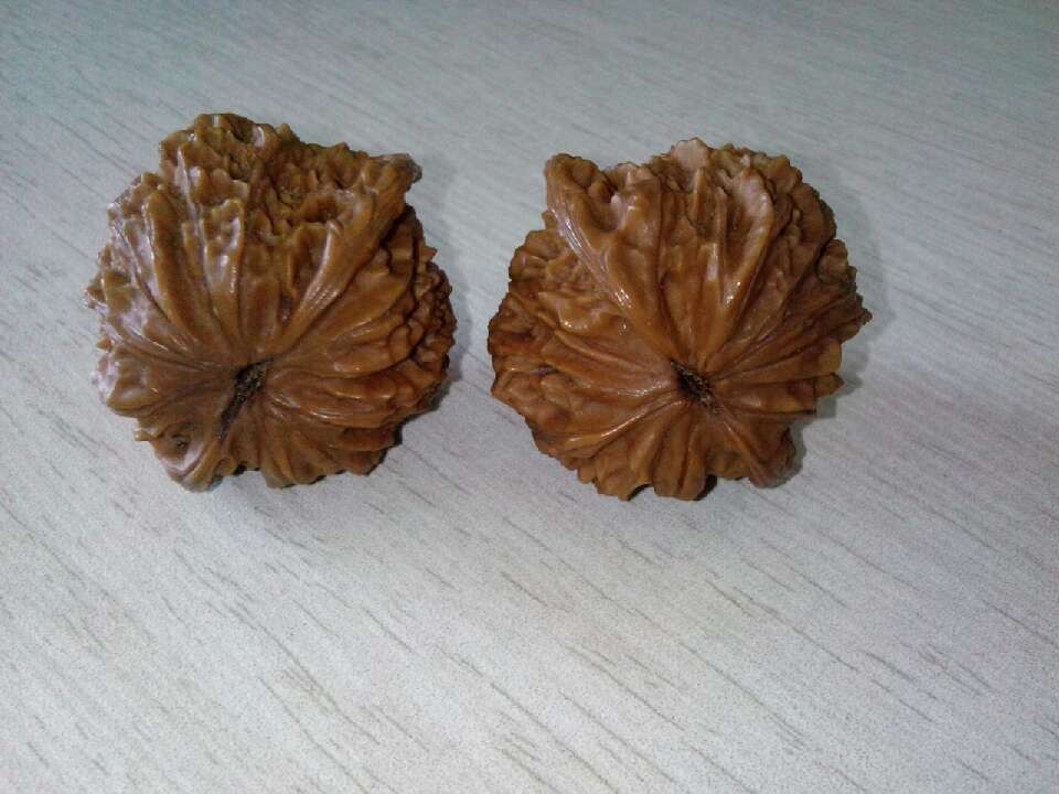 QQ图片20140404125332.jpg