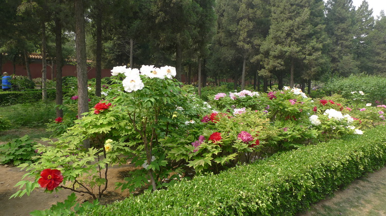 P1040379_调整大小.JPG