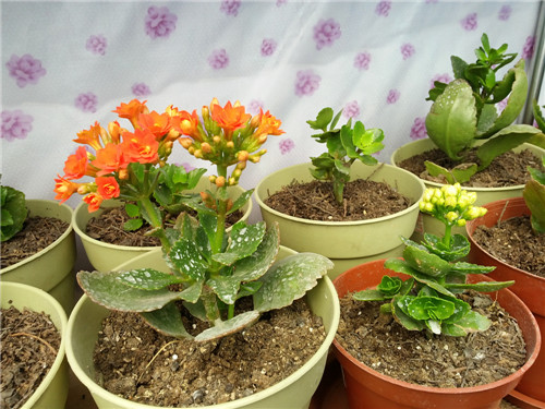 20140301_121734.jpg