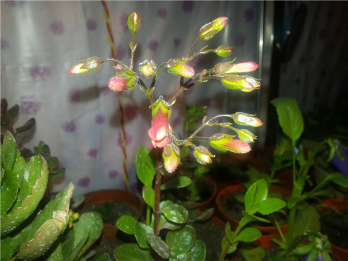 20140303_183704.jpg