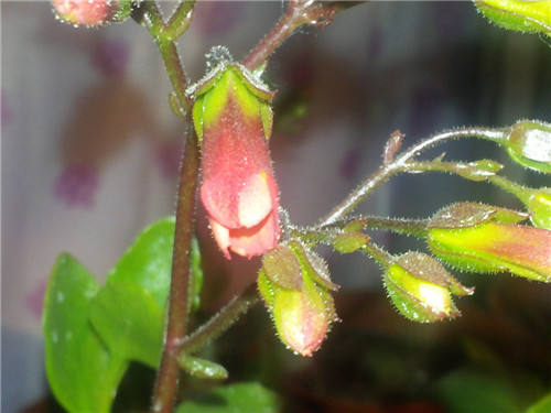 20140303_183717.jpg