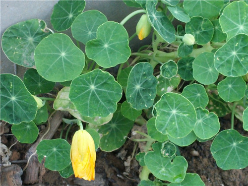 20140518_180958.jpg