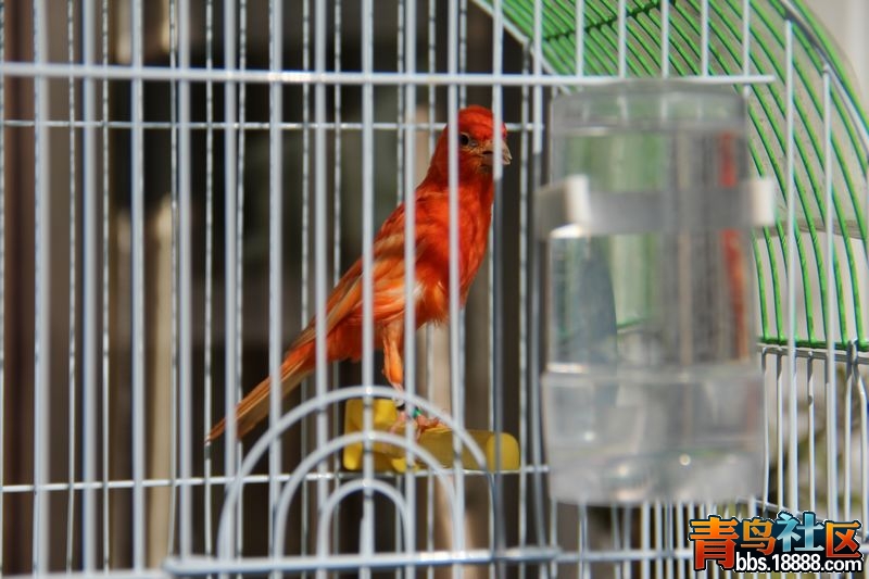 nEO_IMG_IMG_0024.jpg