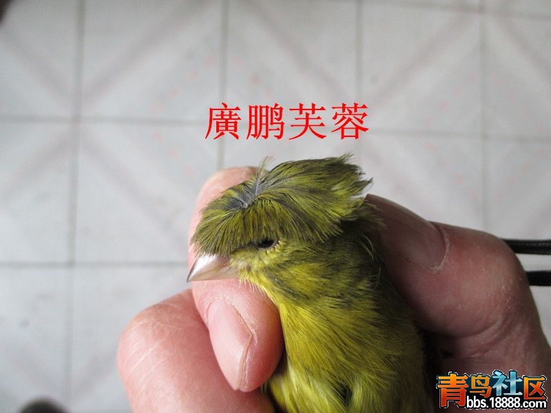 IMG_3448_副本_副本_副本.jpg