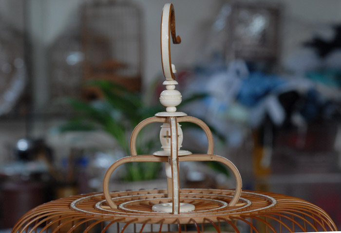 DSC_0004.JPG