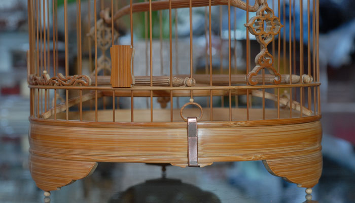 DSC_0035.JPG