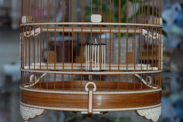 DSC_0020.JPG