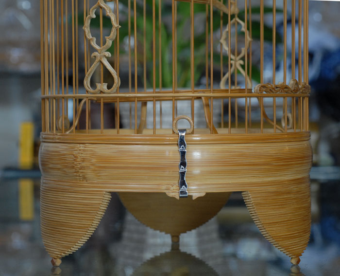 DSC_0011.JPG