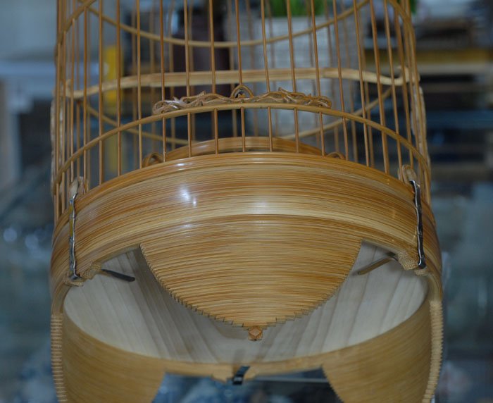 DSC_0017.JPG
