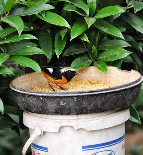 DSC_0047_副本.jpg