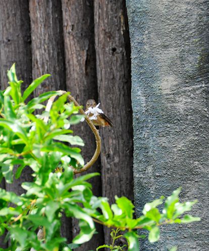 DSC_0060_副本.jpg