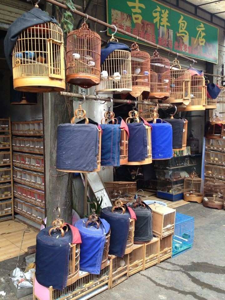 吉祥.jpg