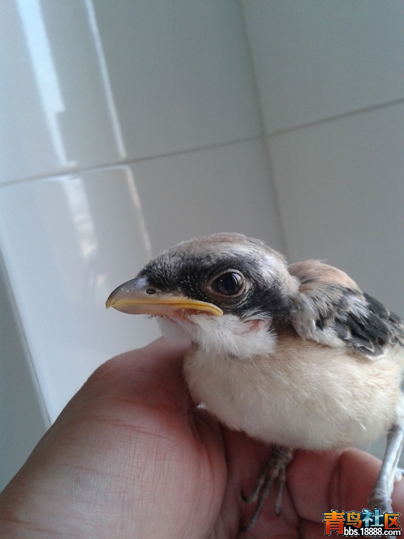 20140508_170156.jpg