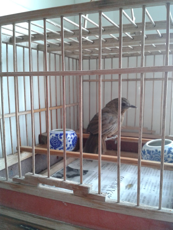 20140528_094443.jpg