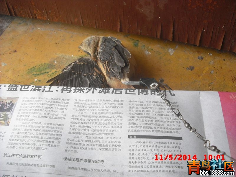 CIMG4554_副本.jpg
