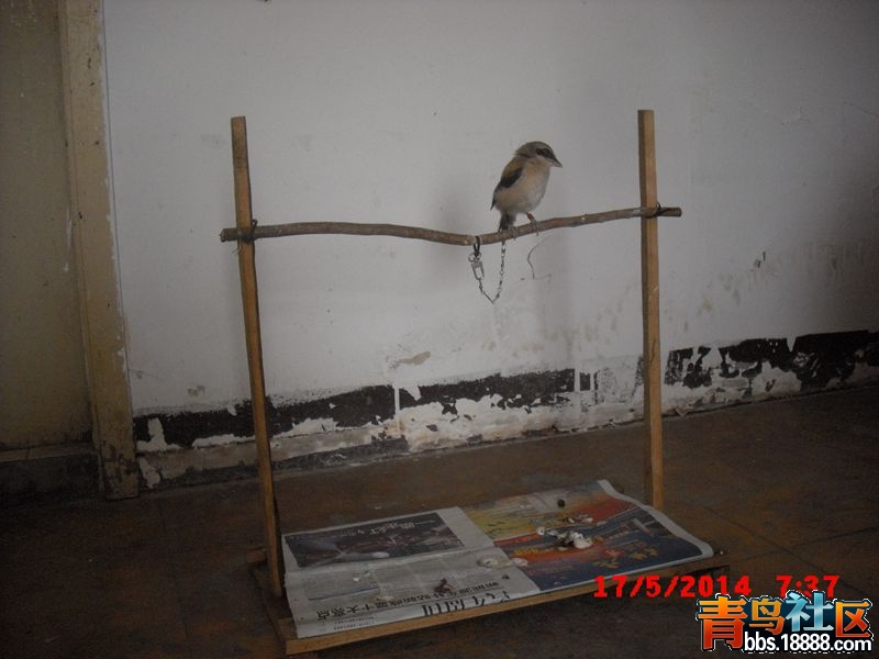 CIMG4741_副本.jpg
