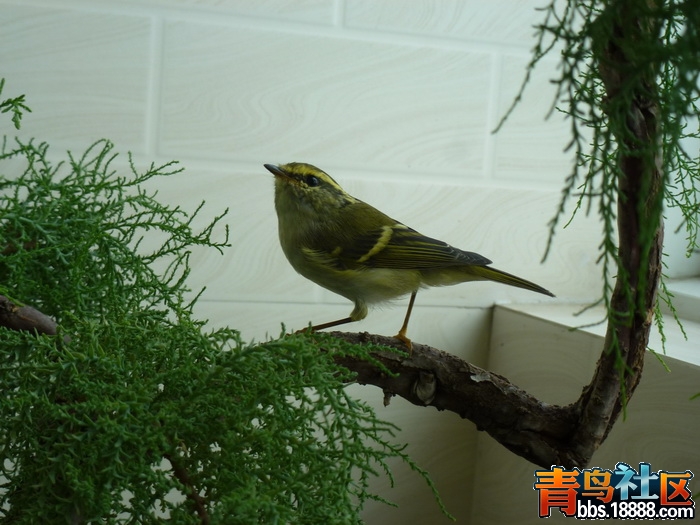 P1060426_调整大小.jpg