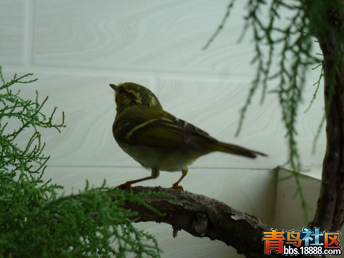 P1060524_调整大小.jpg