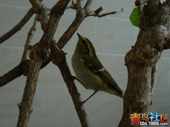 P1060534_调整大小.jpg