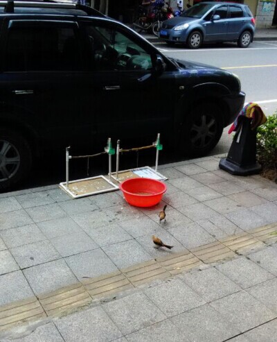 QQ图片20140526143930.jpg