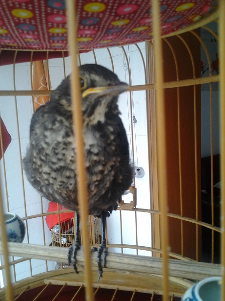 20140509_134545.jpg
