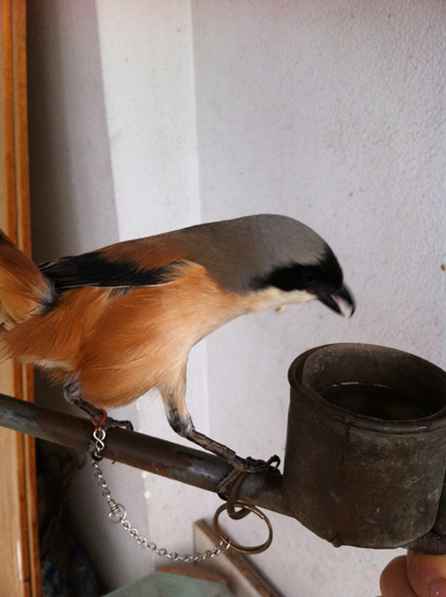 QQ图片20140502205128_副本.jpg