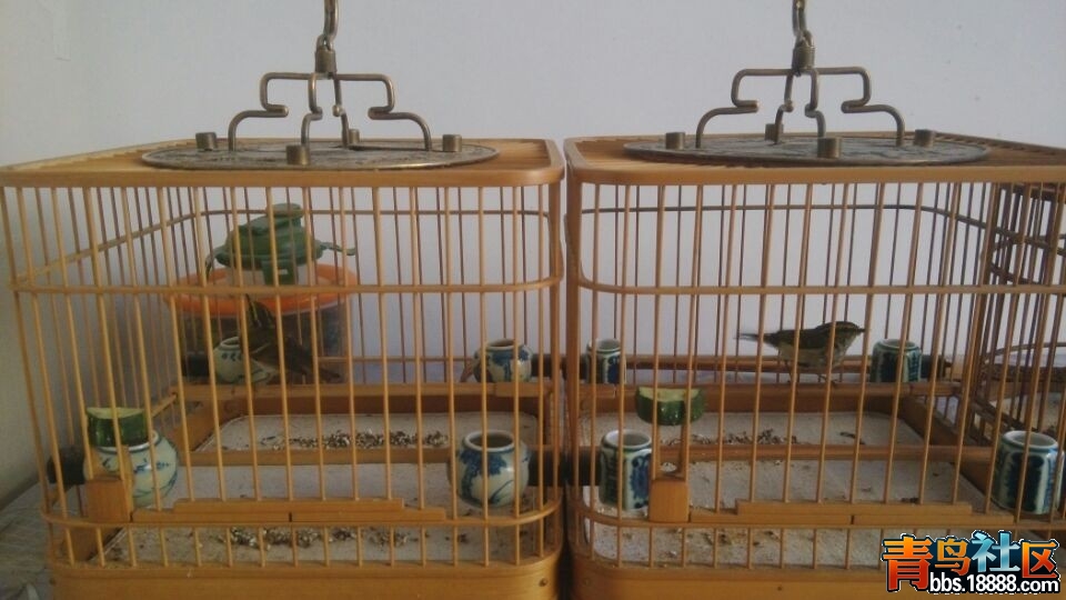 QQ图片20140501173741.jpg