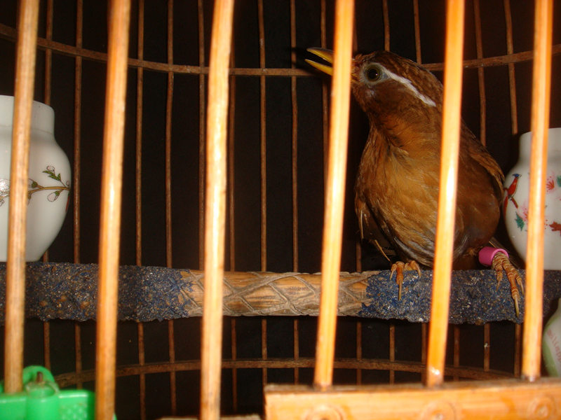 DSC08848.JPG