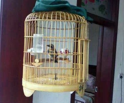 QQ图片20140512153103.jpg