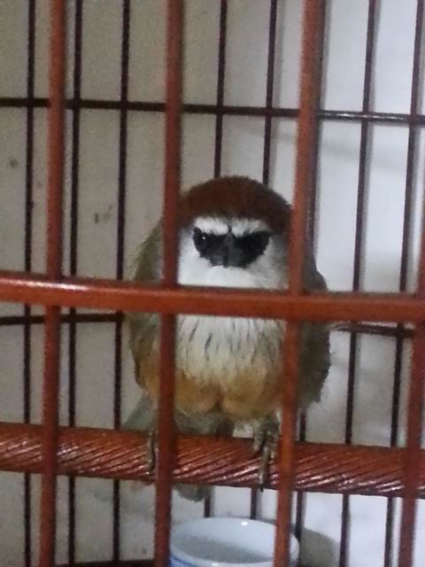 20140523_210302_LLS.jpg