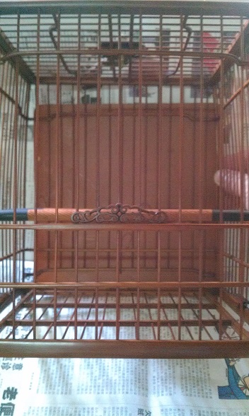 IMAG0120.jpg