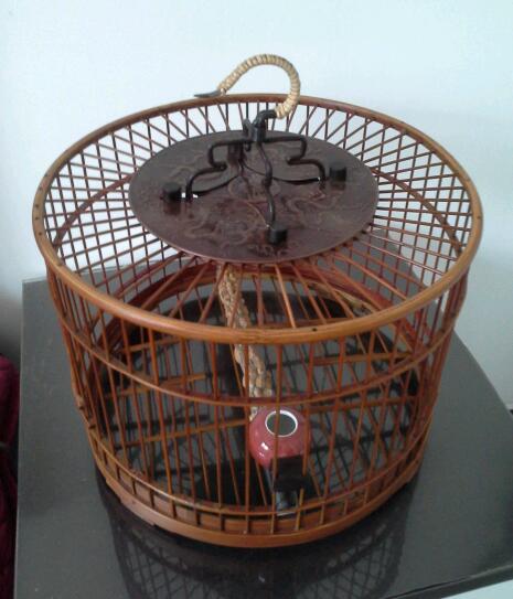 20140527_145119-1.jpg