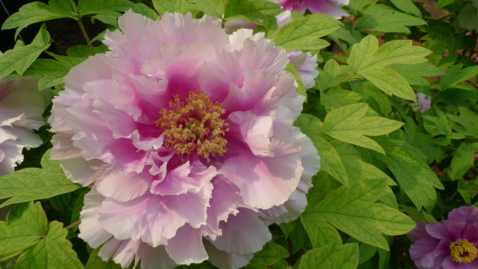 P1040394_调整大小.JPG