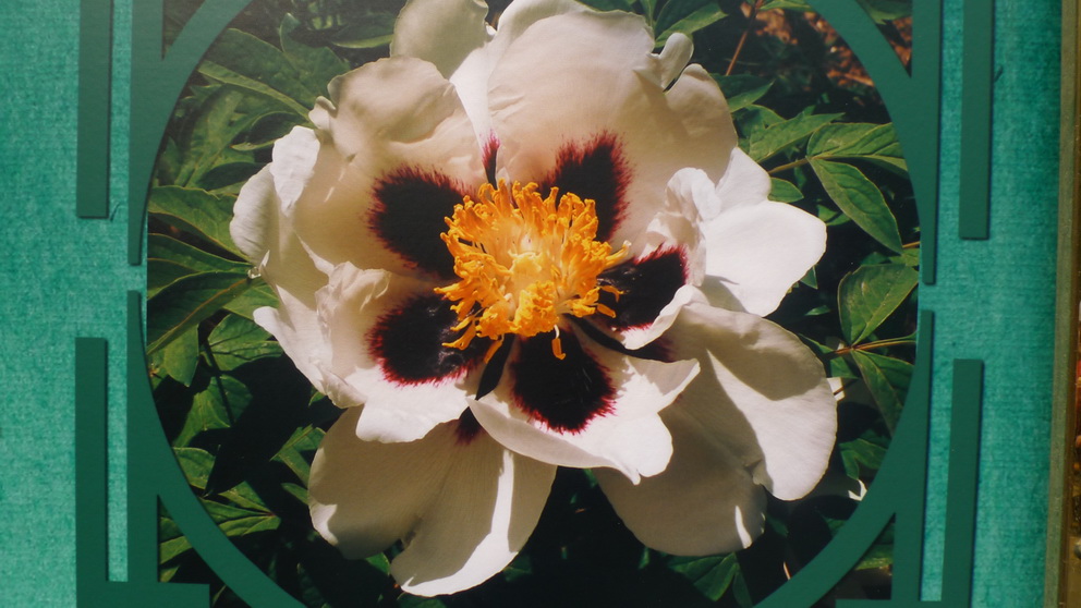 P1040415_调整大小.JPG
