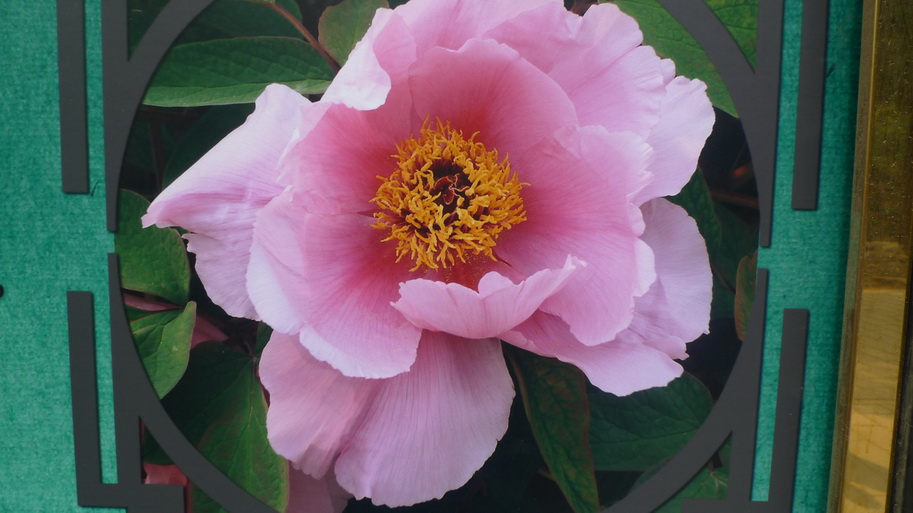 P1040404_调整大小.JPG