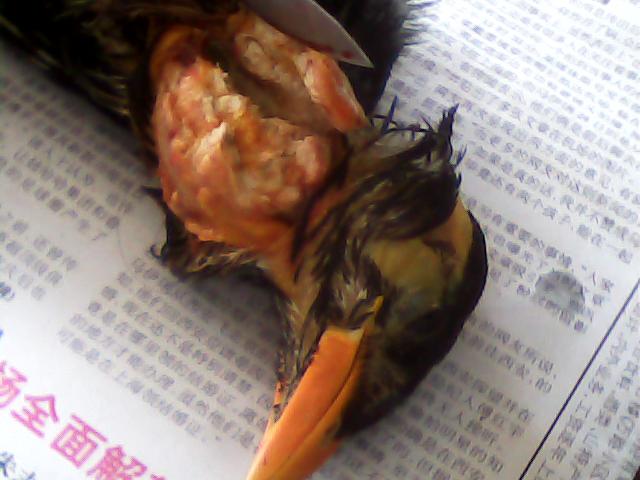 图片 019.jpg