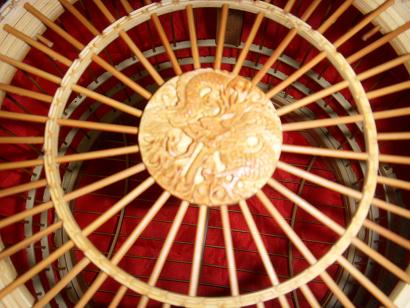 SDC12694画眉10.JPG