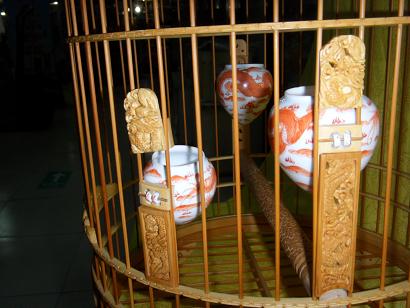 SDC12846画眉7.JPG