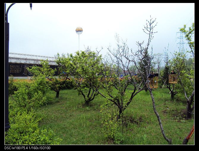 nEO_IMG_DSC02234.jpg