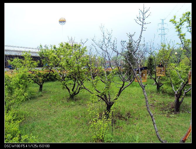nEO_IMG_DSC02273.jpg